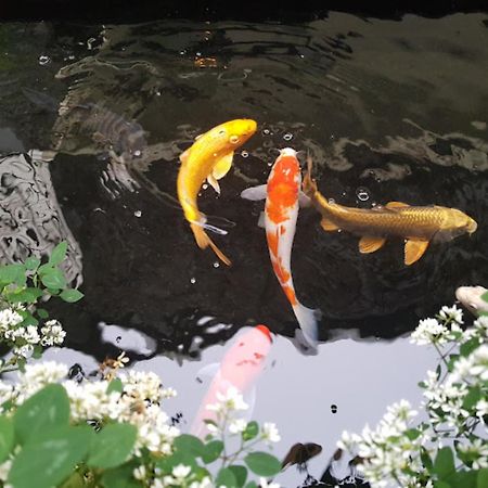 Vuon Tra Homestay Mang Den Kon Von Kla Luaran gambar