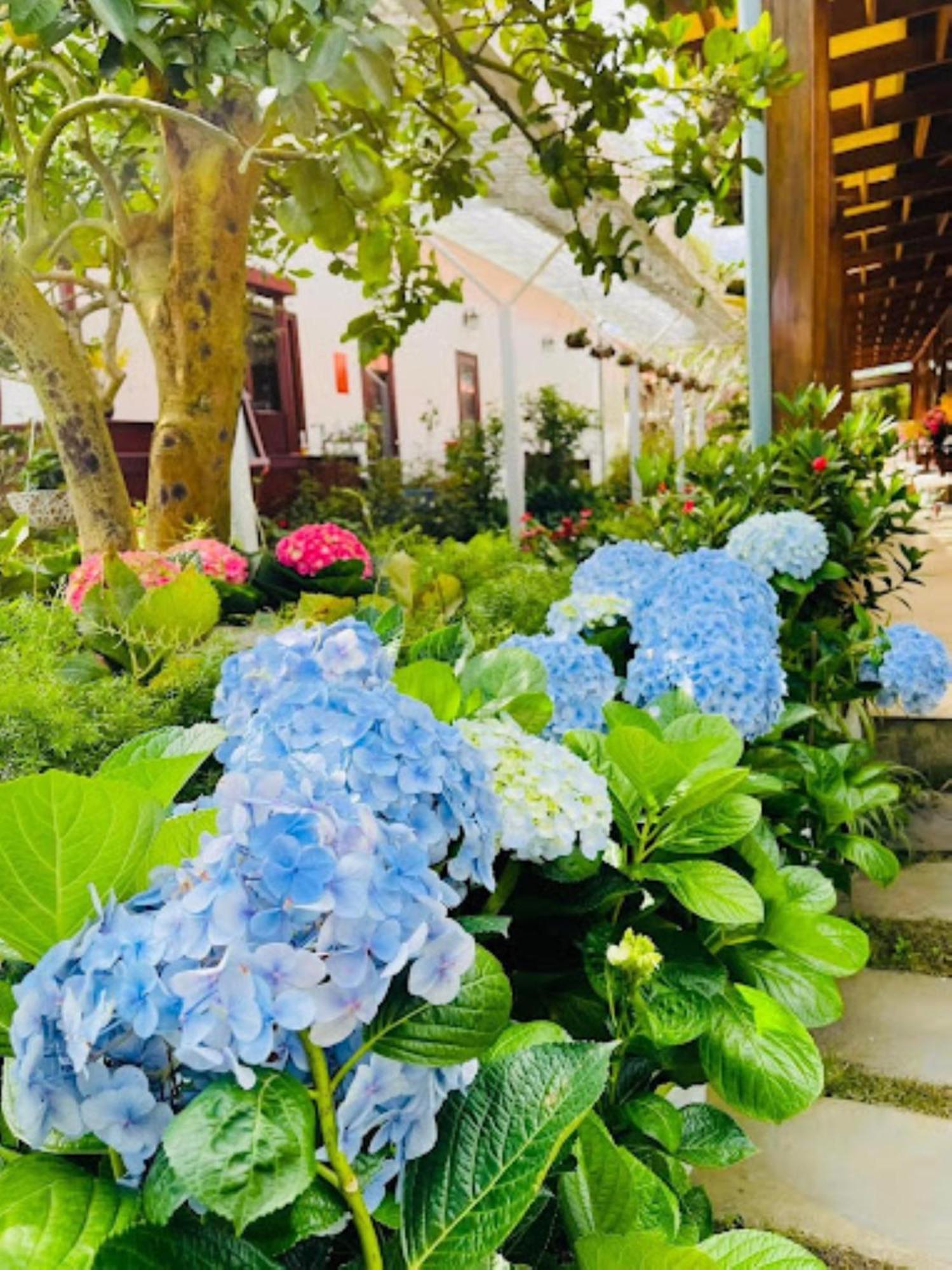 Vuon Tra Homestay Mang Den Kon Von Kla Luaran gambar