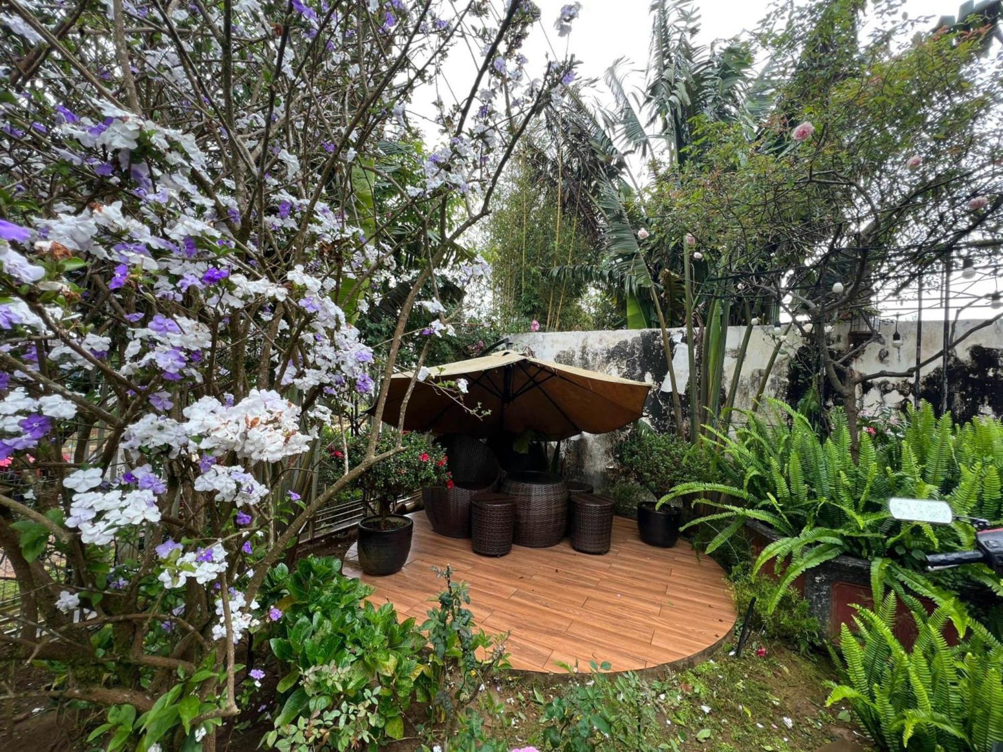 Vuon Tra Homestay Mang Den Kon Von Kla Luaran gambar