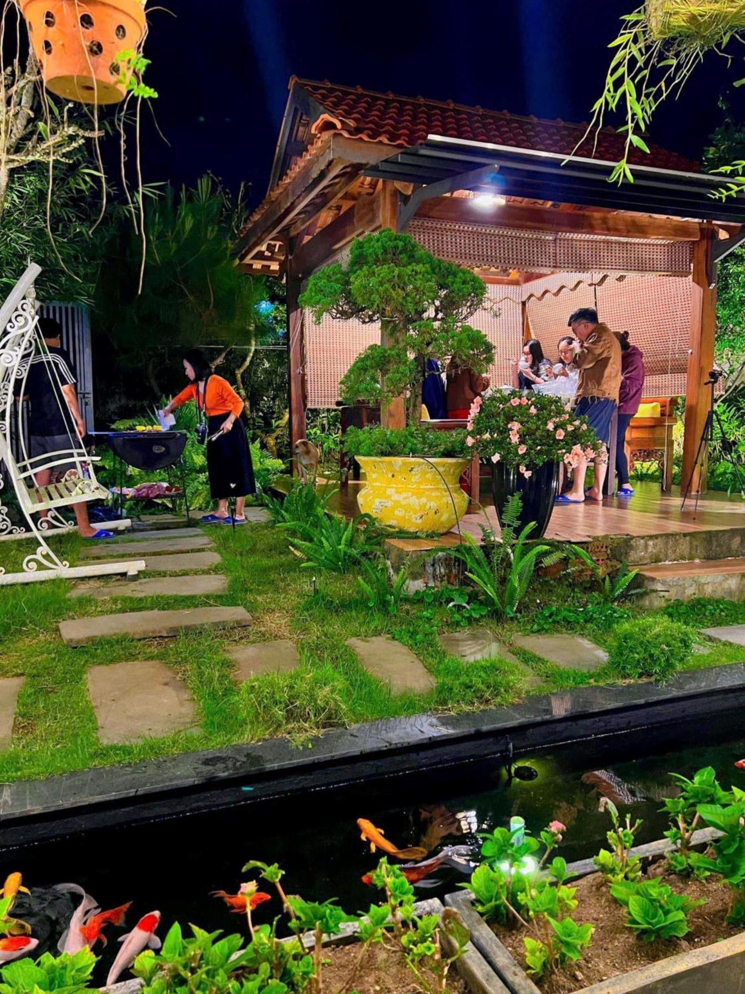 Vuon Tra Homestay Mang Den Kon Von Kla Luaran gambar