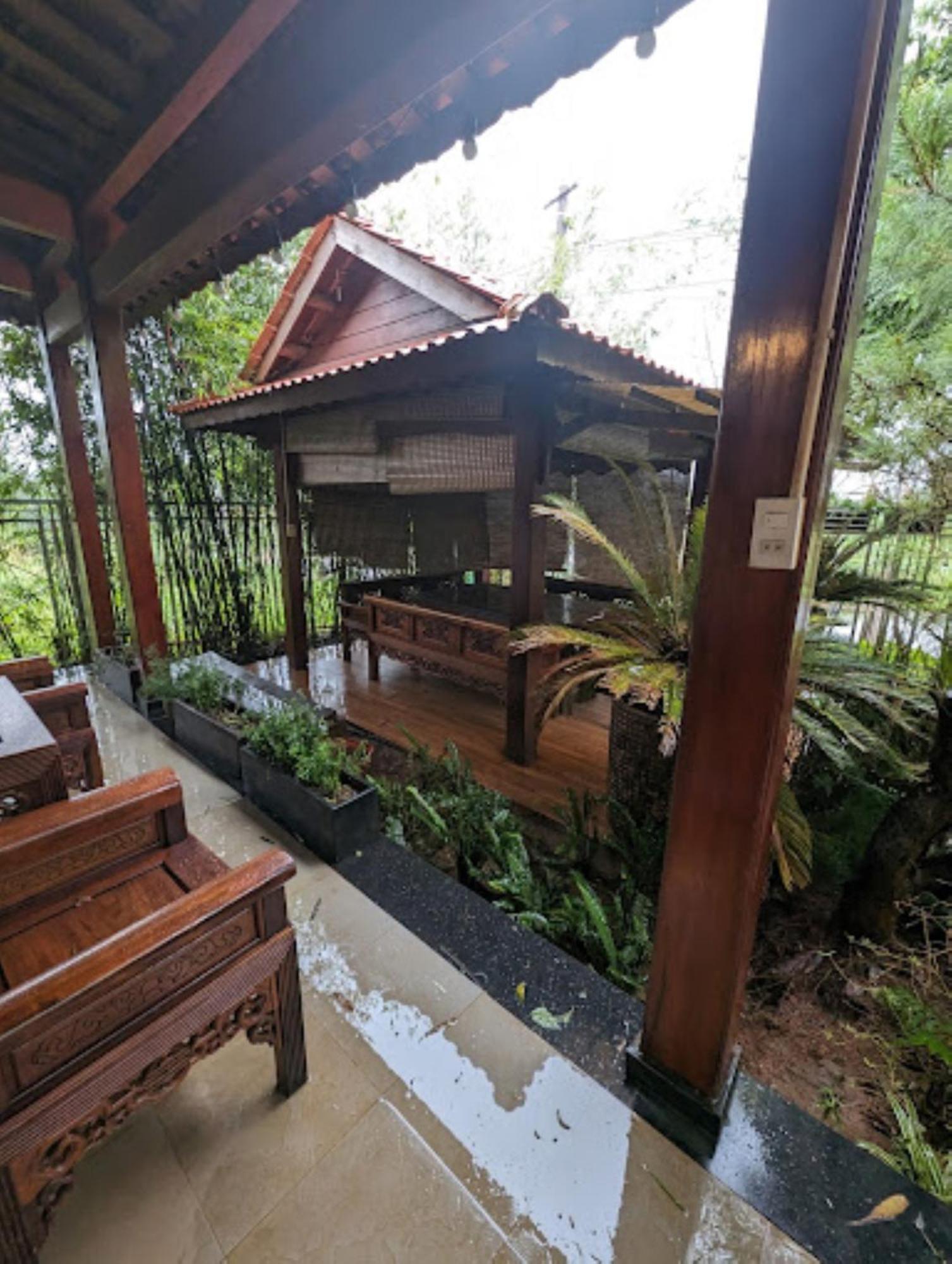 Vuon Tra Homestay Mang Den Kon Von Kla Luaran gambar